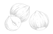 noisette_edited_edited_edited.png
