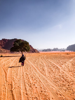 Wadi Rum desert image10
