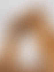 exploring the temples of Palmyra, Syria