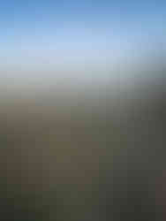 Cemetery in Nokhur Village with goat horns on graves to ward off evil spirits