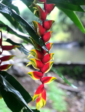 Costa Rica travel guide