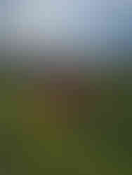 A traveler sharing a delightful moment with a local tea lady in Nyungwe, Rwanda.