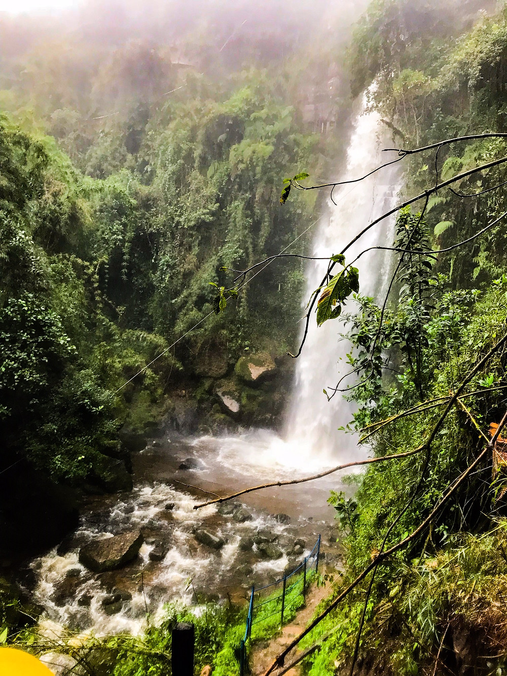 The La Chorrera Waterfalls