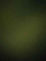 Sunset Over the Savannas of Loango National Park