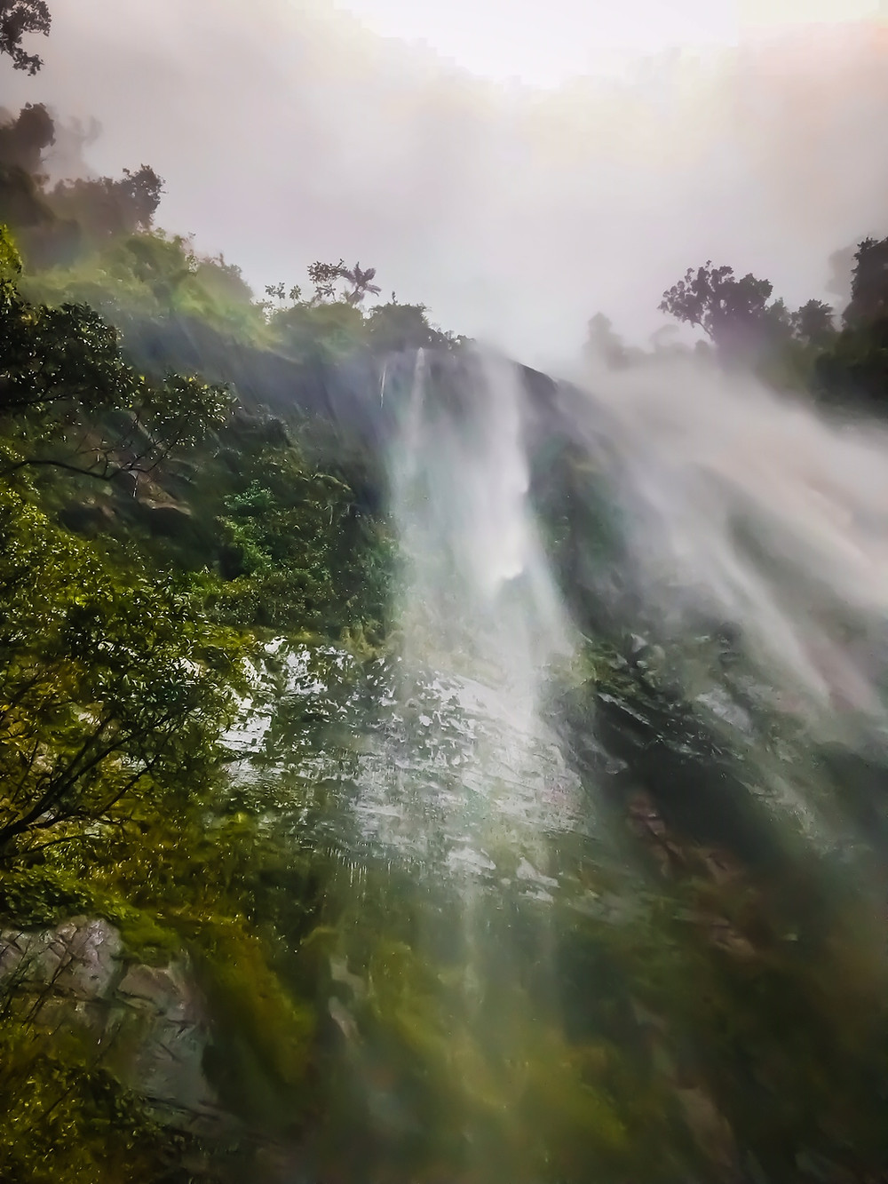 The La Chorrera Waterfalls