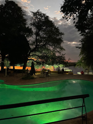 Botswana safari