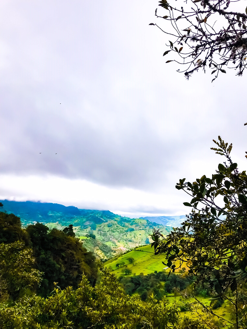 The La Chorrera Waterfalls