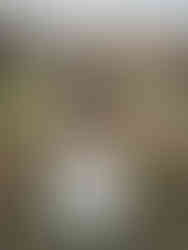 Cemetery in Nokhur Village with goat horns on graves to ward off evil spirits