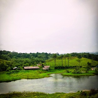 Costa Rica travel guide