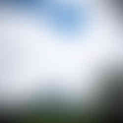 Costa Rica travel guide