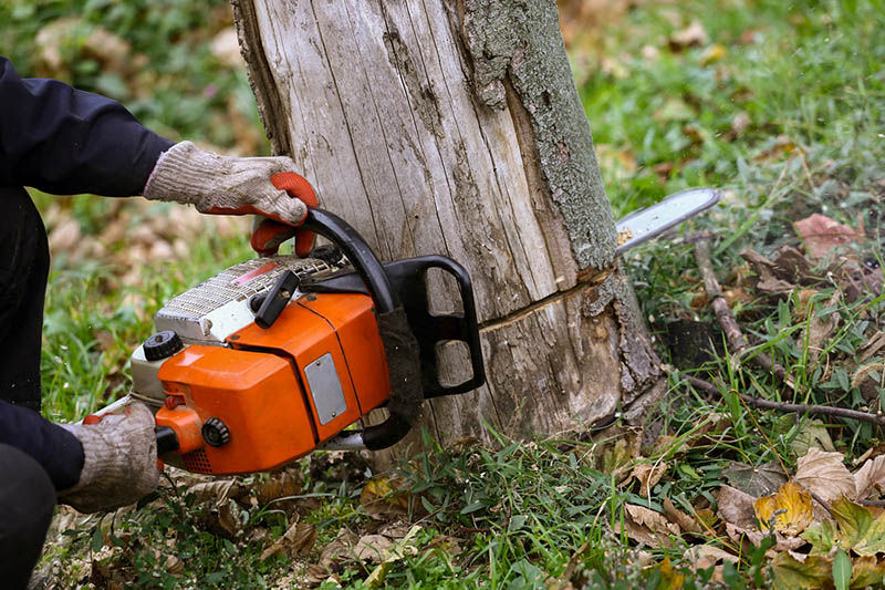 Residential lawn maintenance, commercial lawn maintenance, weed control, fertilization, pesticide, sprinkler installation and repair, landscaping design and installation, fence installation and repair, tree removal and trimming. serving the Sugar Land, Texas area, including Houston, Sugar Land, Richmond, Memorial, Piney Point, Sienna Plantation, Missouri City, Cinco Ranch, and River Oaks.