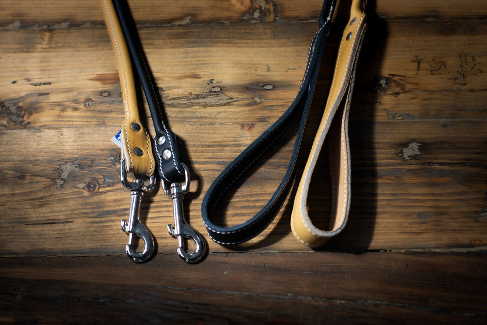 Miniature : Laisse en cuir 1 pouce ronde pour chien de haute qualité fabricant Lacets Arizona