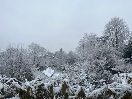 ロンドン便り−５９号  ＊英国近況報告＊
