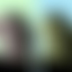 Experience the 'Virtuoso' talents of Cristina Ortiz