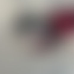 Healthy senior dog out for his regular walk.