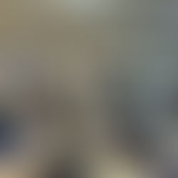 GCF org.(Green Climate Fund Org. 녹색기후기금)'팀 리트릿' 선무도 수련!!!