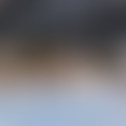 덴마크 전통태권도(TTU) Summer 