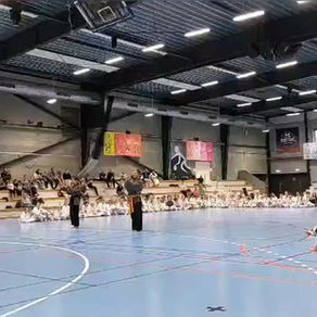 덴마크 전통태권도(TTU) Summer 