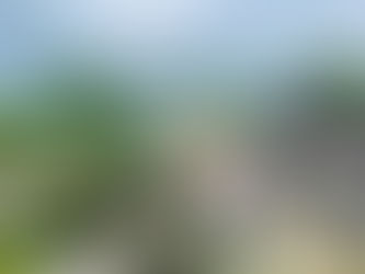 하동 용화사! 2023년 가을 선무도 유단자 연수!