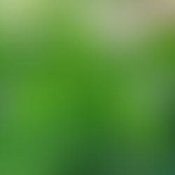 온라인 '줌 zoom' 으로
선무도 수업에 참여 할 수 있습니다.