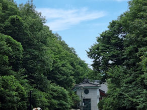 YTN 사이언스 ‘다큐S프라임’ <템플스테이>