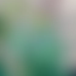 3월의 봄 소식! (불교박람회)