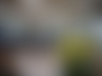 선무도 서울본원 송년법회(12월 9일)