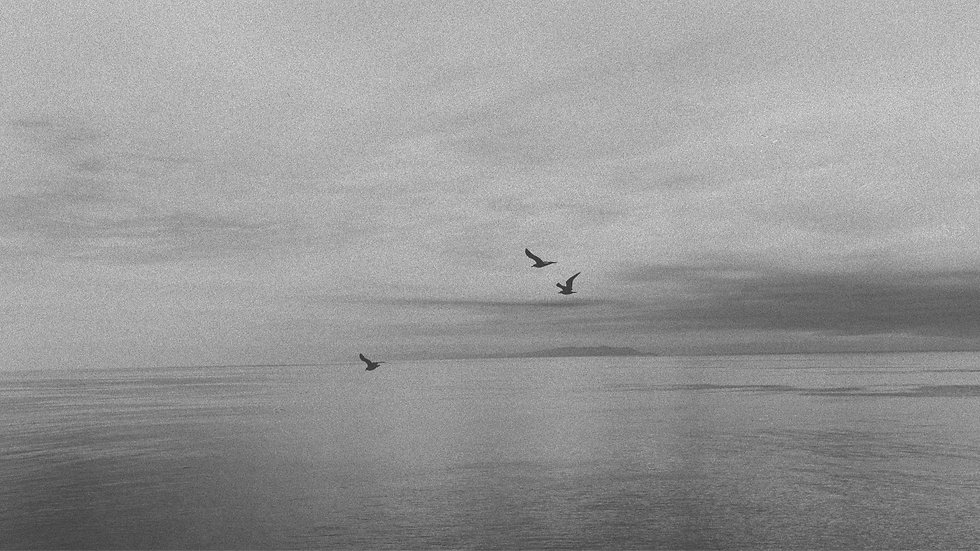 Ichigo Ichie - Once In A Lifetime