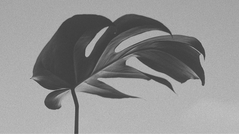 Ma Fin Est Mon Commencement