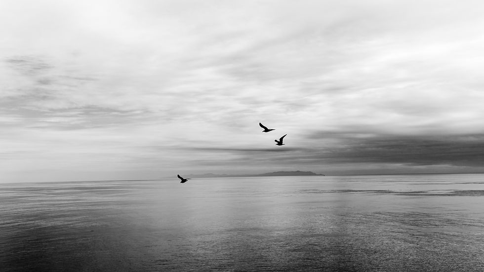 Ichigo Ichie - Once in a Lifetime