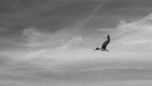 When Life Asks You to Slow Down