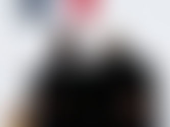 Macron et Steinmeier inaugurent l'Historial franco-allemand