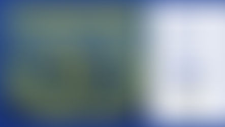 2020: Année Européenne