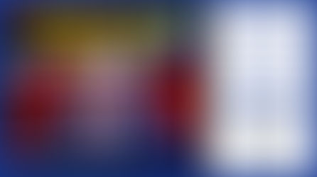 2023 legislative elections in the Netherlands: Far right in the lead, far from being able to govern