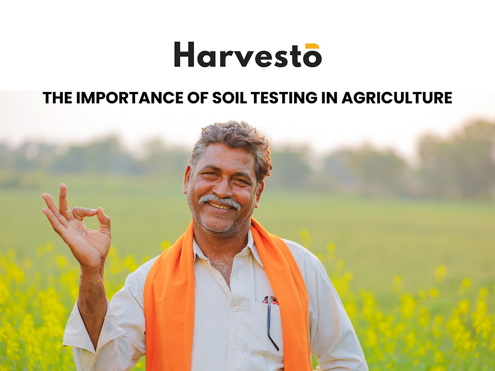 The Importance of Soil Testing in Agriculture