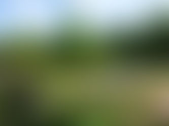 梅雨の軽井沢の風物詩