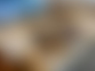 自家製酵母と拘りのライ麦パン