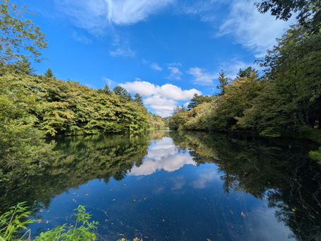 雲場池の紅葉情報