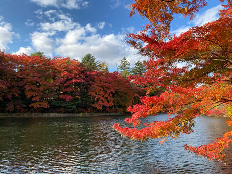 軽井沢の紅葉 2020