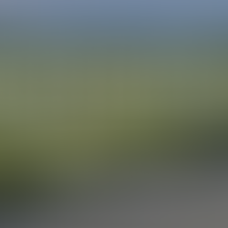 7月11日オンライン開催『地方の時代が始まった・地方創生フォーラム』