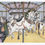 Thumbnail: "Dreamy Carousel" Postcard