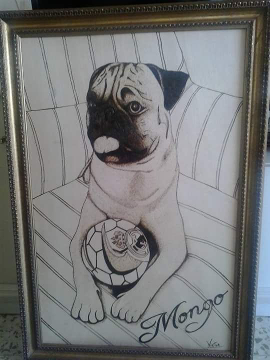 Mongo Mascota de Adriana