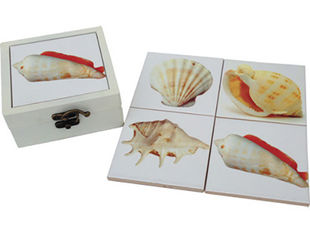 Sea Shell Design Ceramic Coaster Box Sets