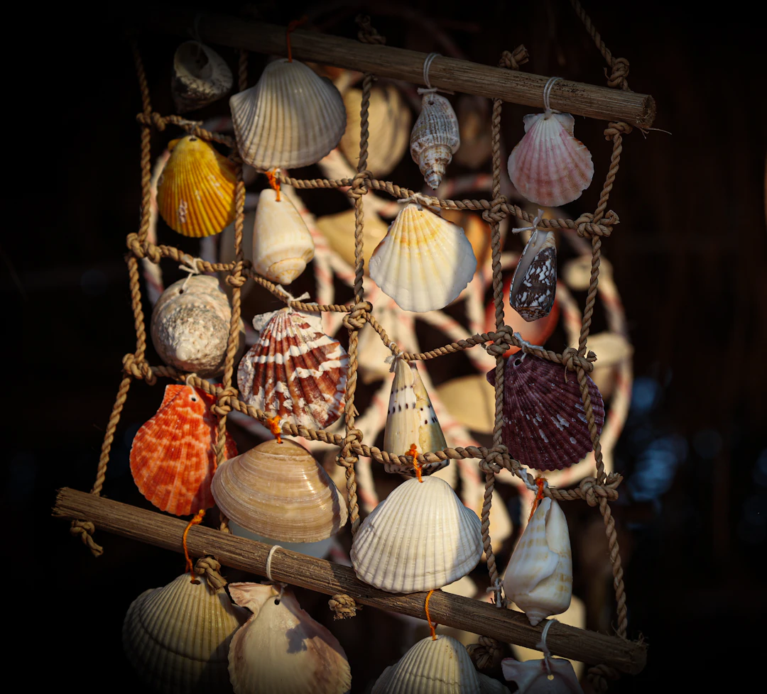 Transform Your Space: An Introduction to Coastal Theme Home Decor