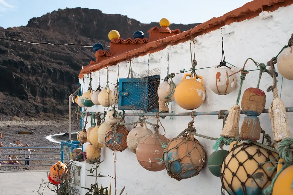 Navigating Coastal Decor Styles: From Cottage to Chic