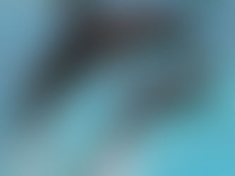 Discover the Beauty of Dolphin Watch Ceramic Coasters Set of 4 - 11.3cm