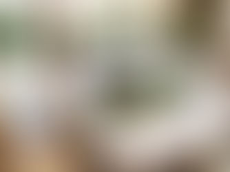 Coastal Designs for Every Occasion: Perfect Holiday Gifts and More