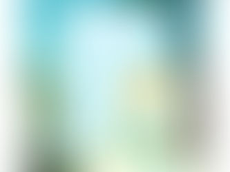 Create a Stunning VW Beetle Photo Frame with Palm Trees for Your 4x6 Pictures