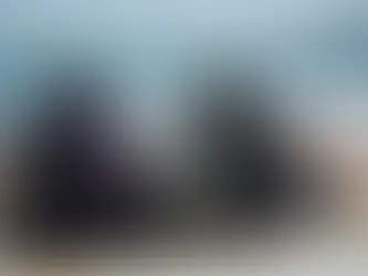 Pet-Friendly Coastal Decorating Ideas: Embracing the Beach at Home