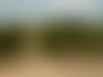 Seas the Day: Seasonal Decorations for a Coastal Home